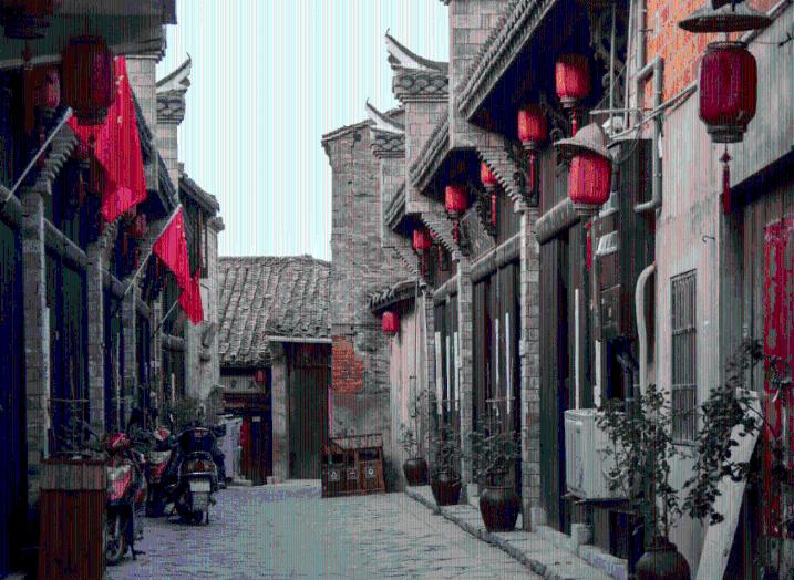 解救金刚鹦鹉